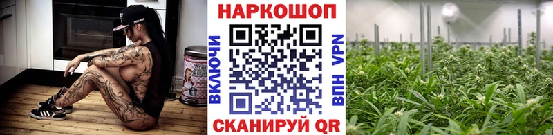 Купить наркотики цена Лесной Галлюциногенные грибы  ГАШИШ  Канабис  Cocaine 