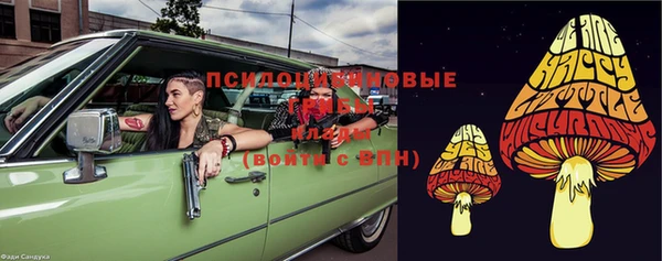дживик Алексин