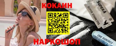 гашик Камышлов