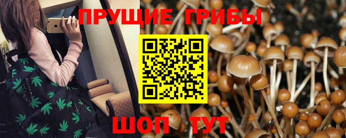 МАРИХУАНА  Лесной  ЭКСТАЗИ  МЕФ  ГАШИШ  Меф кристаллы  COCAIN  Вход с VPN 